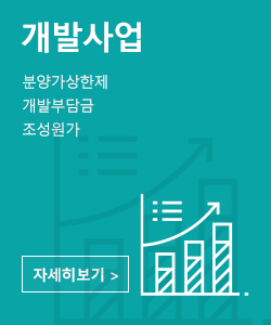 개발사업